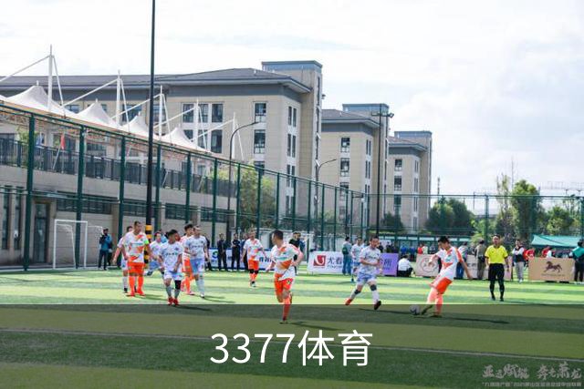 3377体育公司简介展示图